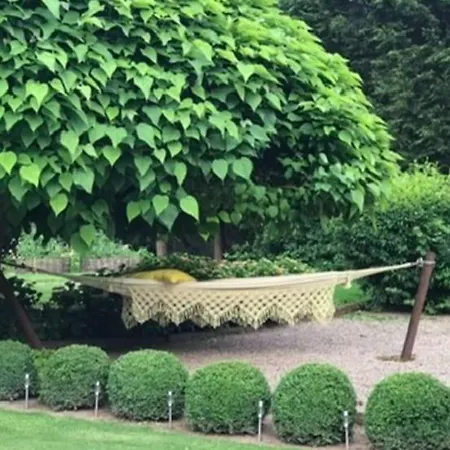 La Maison Ugolin And Ines * バカラ